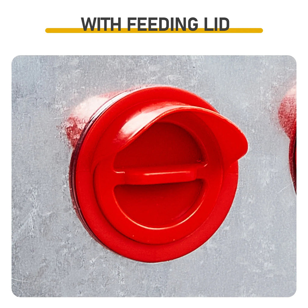 Feedorau