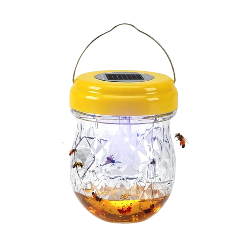 SunTrabex