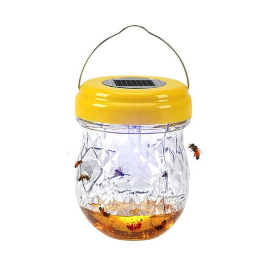 SunTrabex