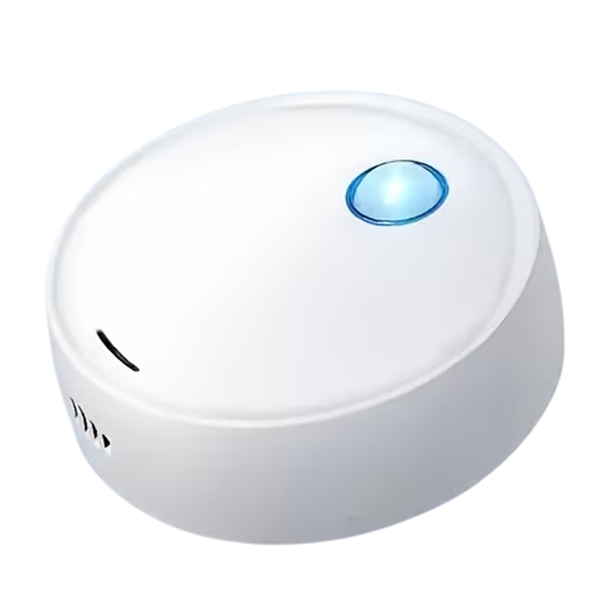 OdorPawy