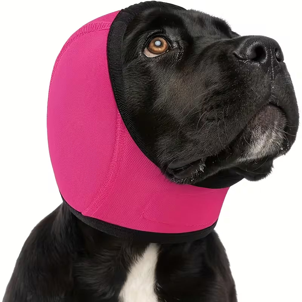 EarPupies