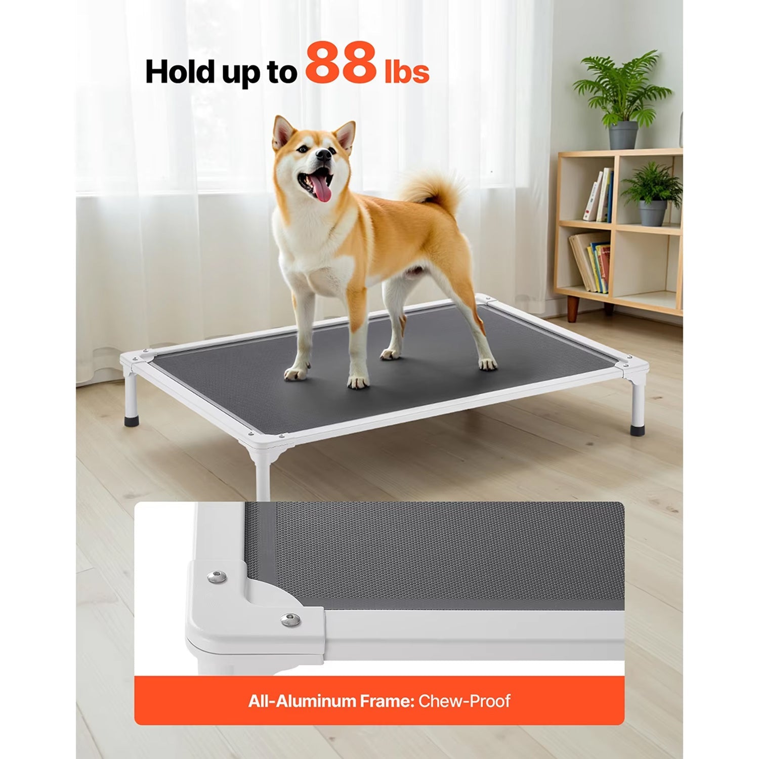PawLifto