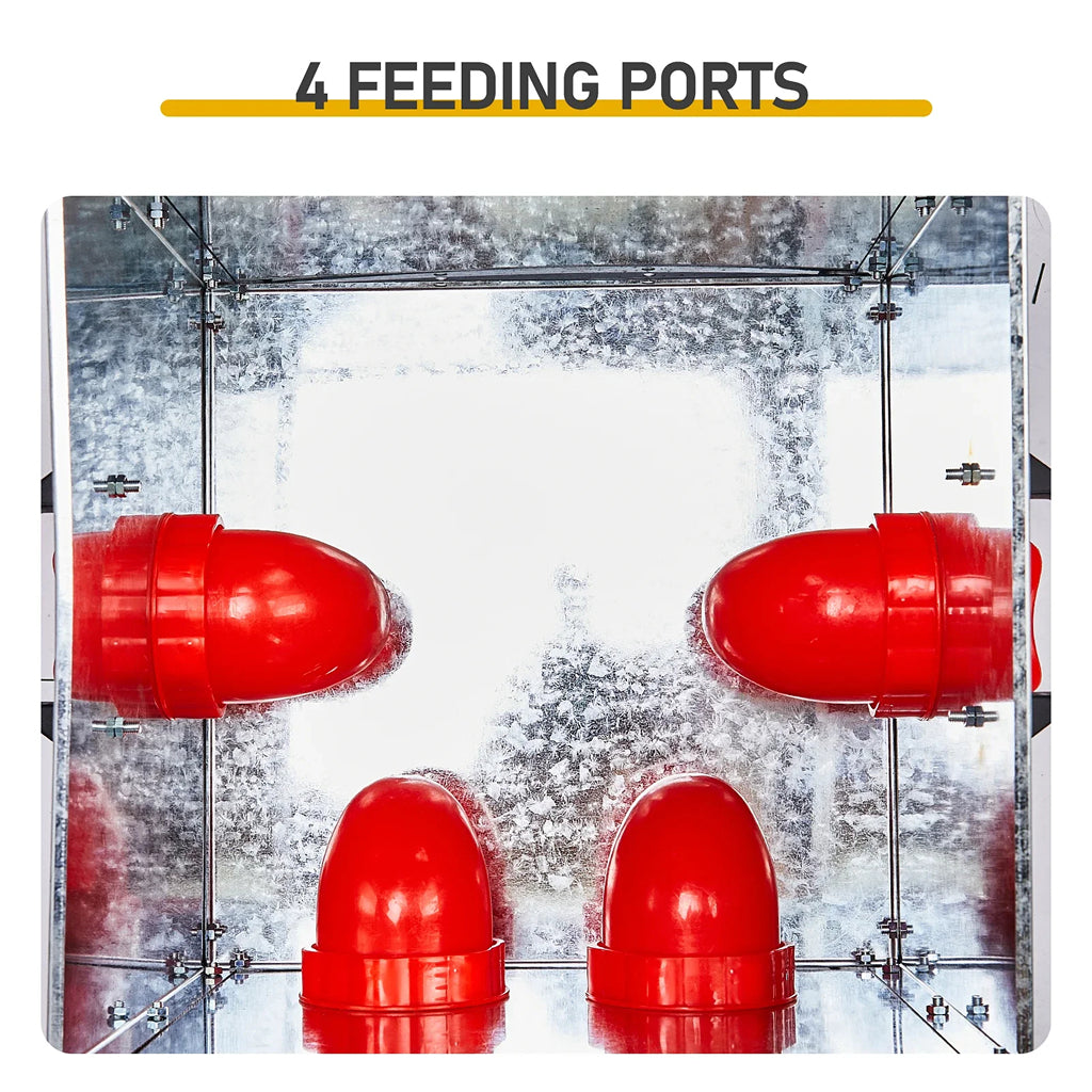 Feedorau