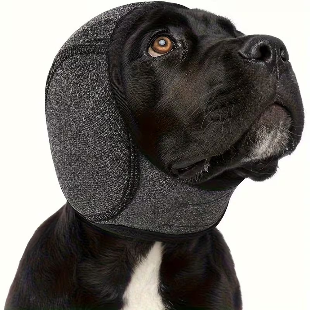 EarPupies