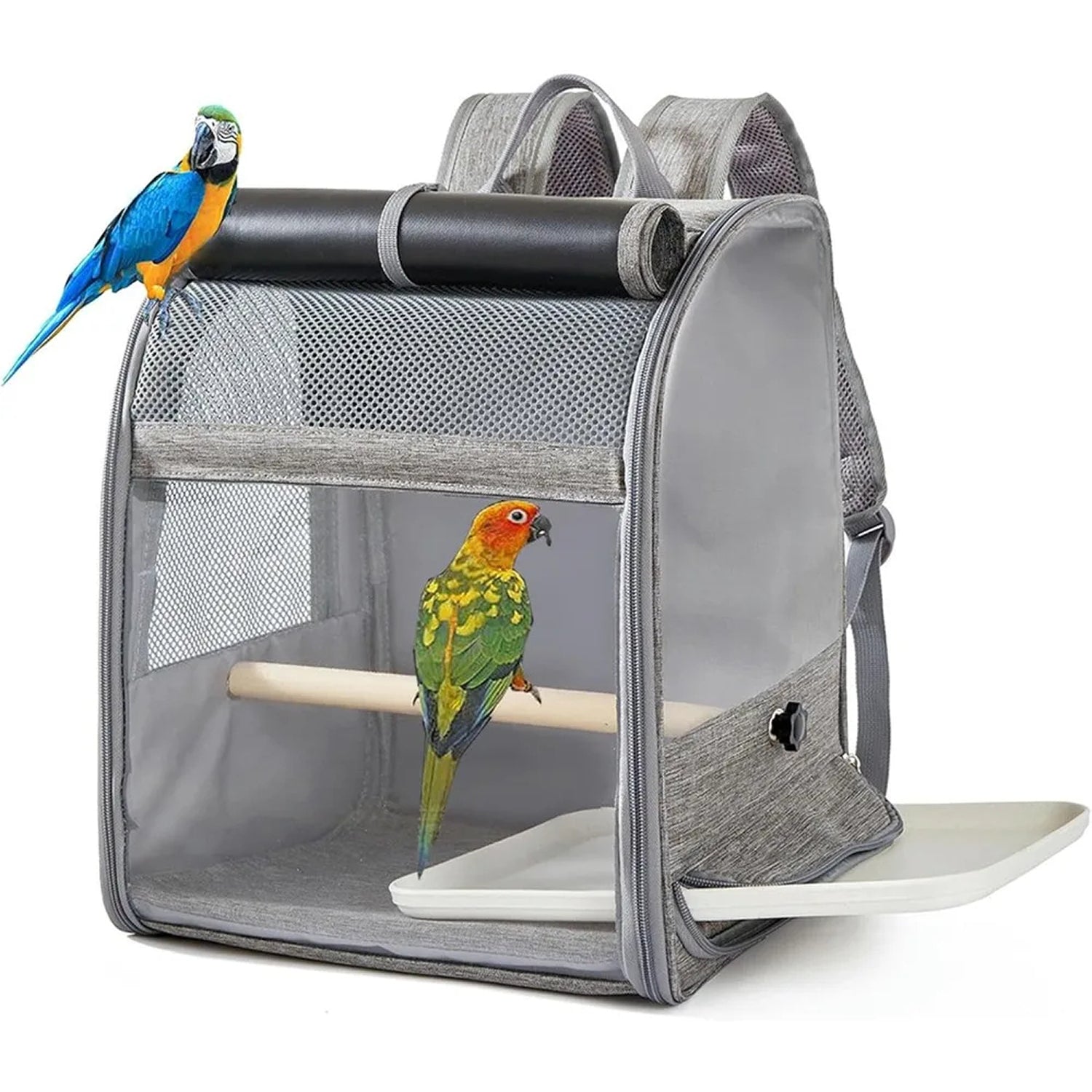 BirdyPax