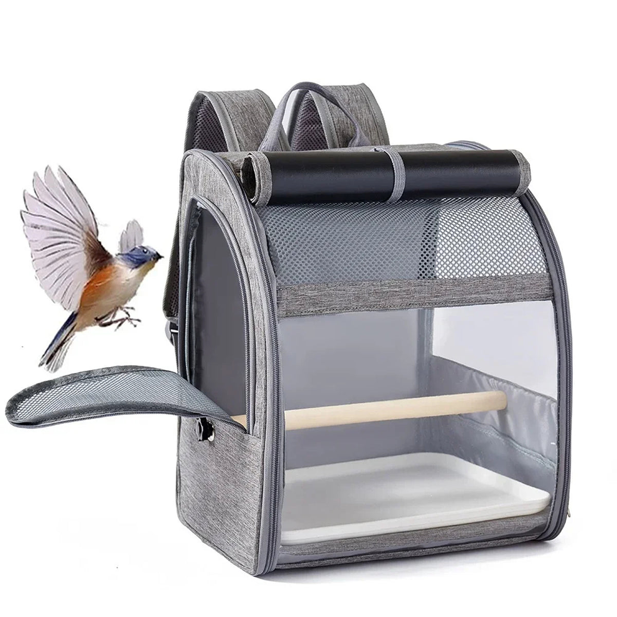 BirdyPax
