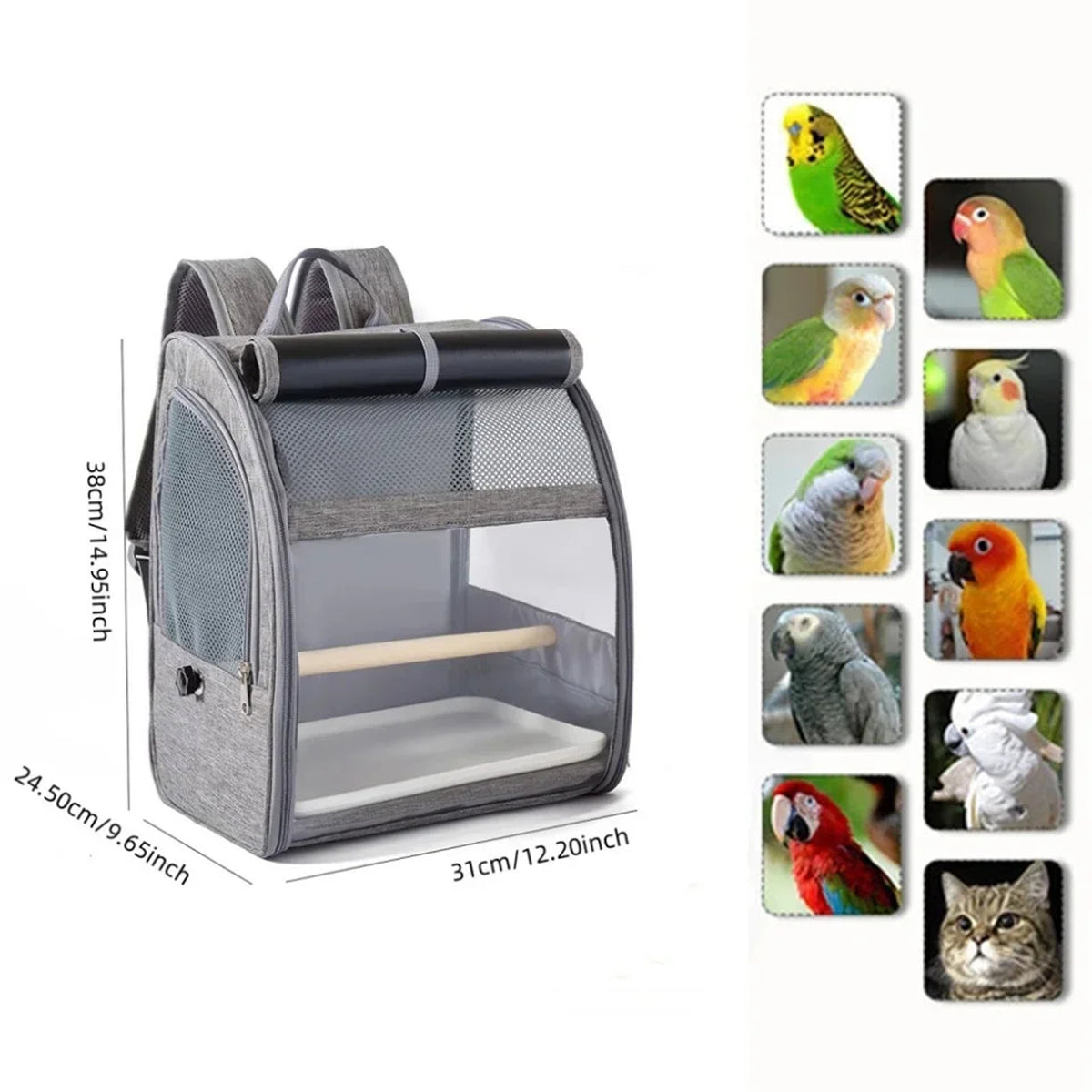 BirdyPax