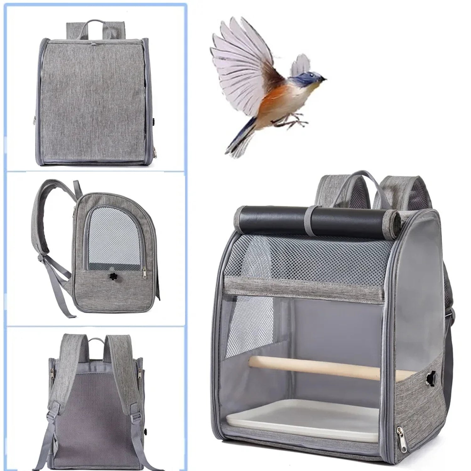 BirdyPax