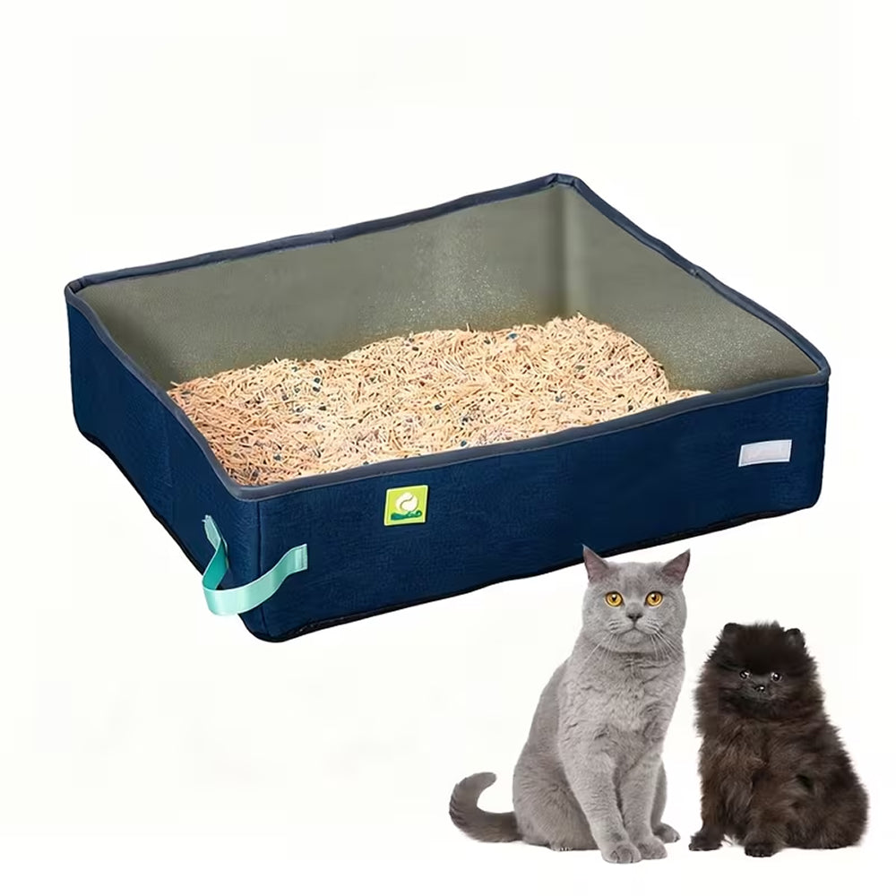 CatPoxta