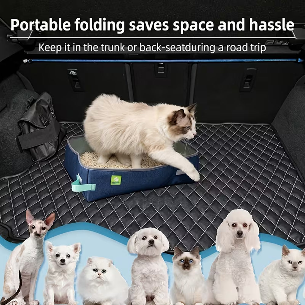 CatPoxta