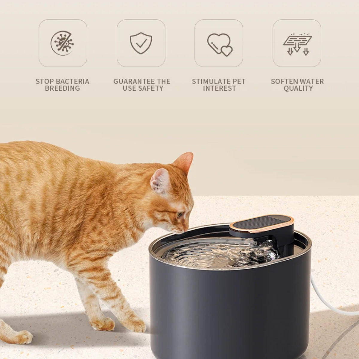 Catainood