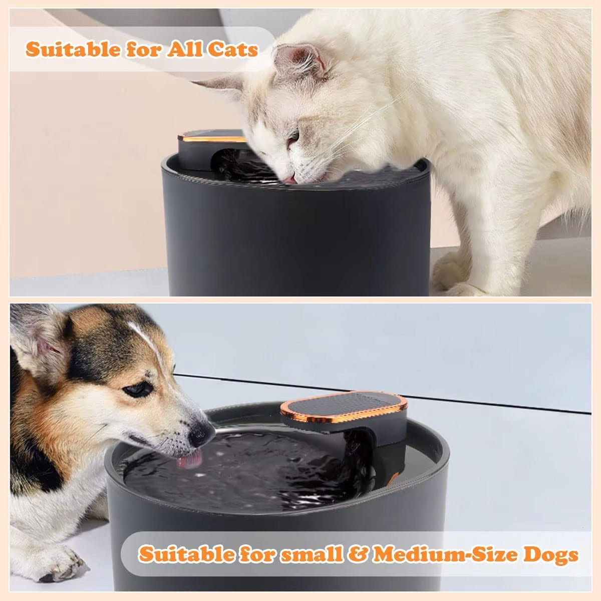 Catainood Cat Water Fountain