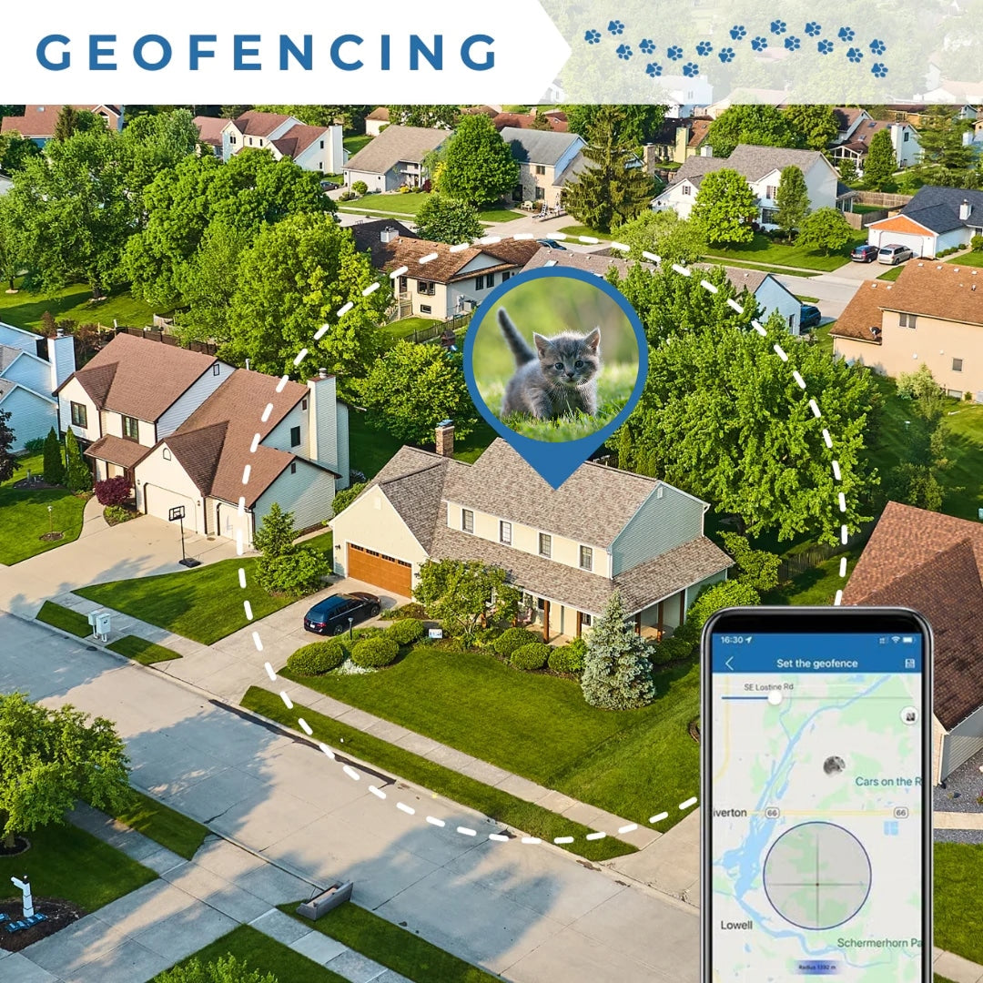 CatMaxe GPS Cat Collar