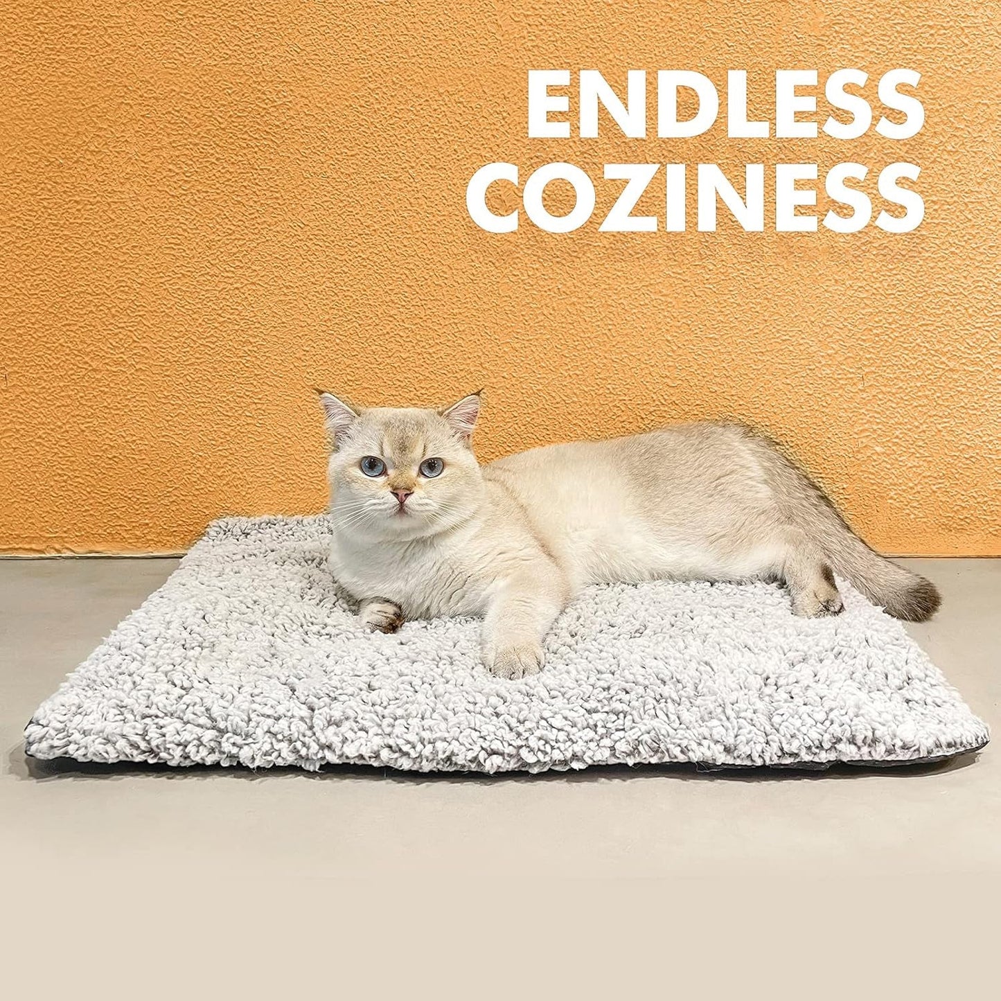 CozixCat
