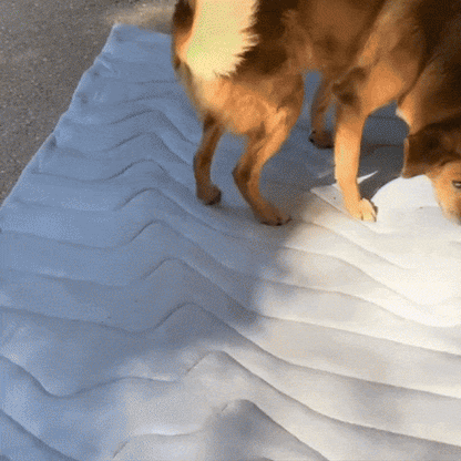PawFroste Dog Cooling Mat