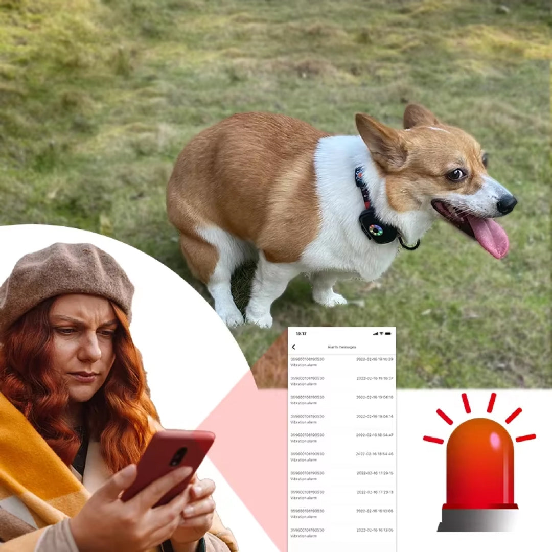 DogFanur