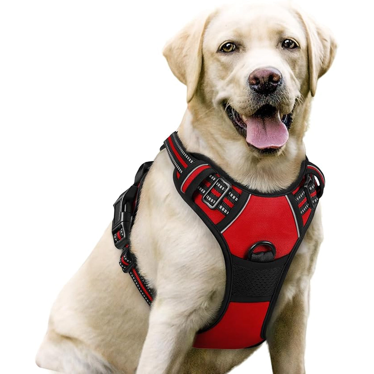 Doghamex