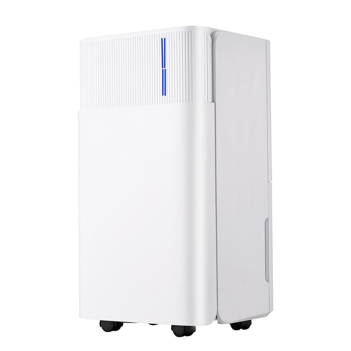 Drymorax