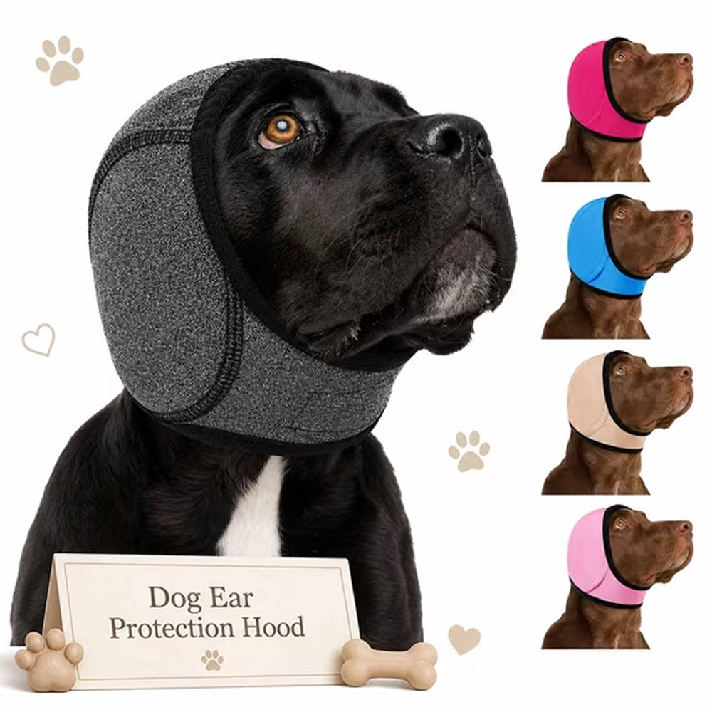 EarPupies