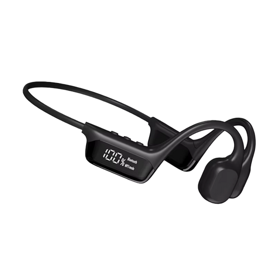 EarfiTune V2