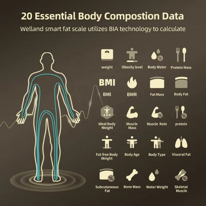 FitgMazz Body Composition Scales