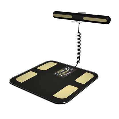 FitgMazz Body Composition Scales