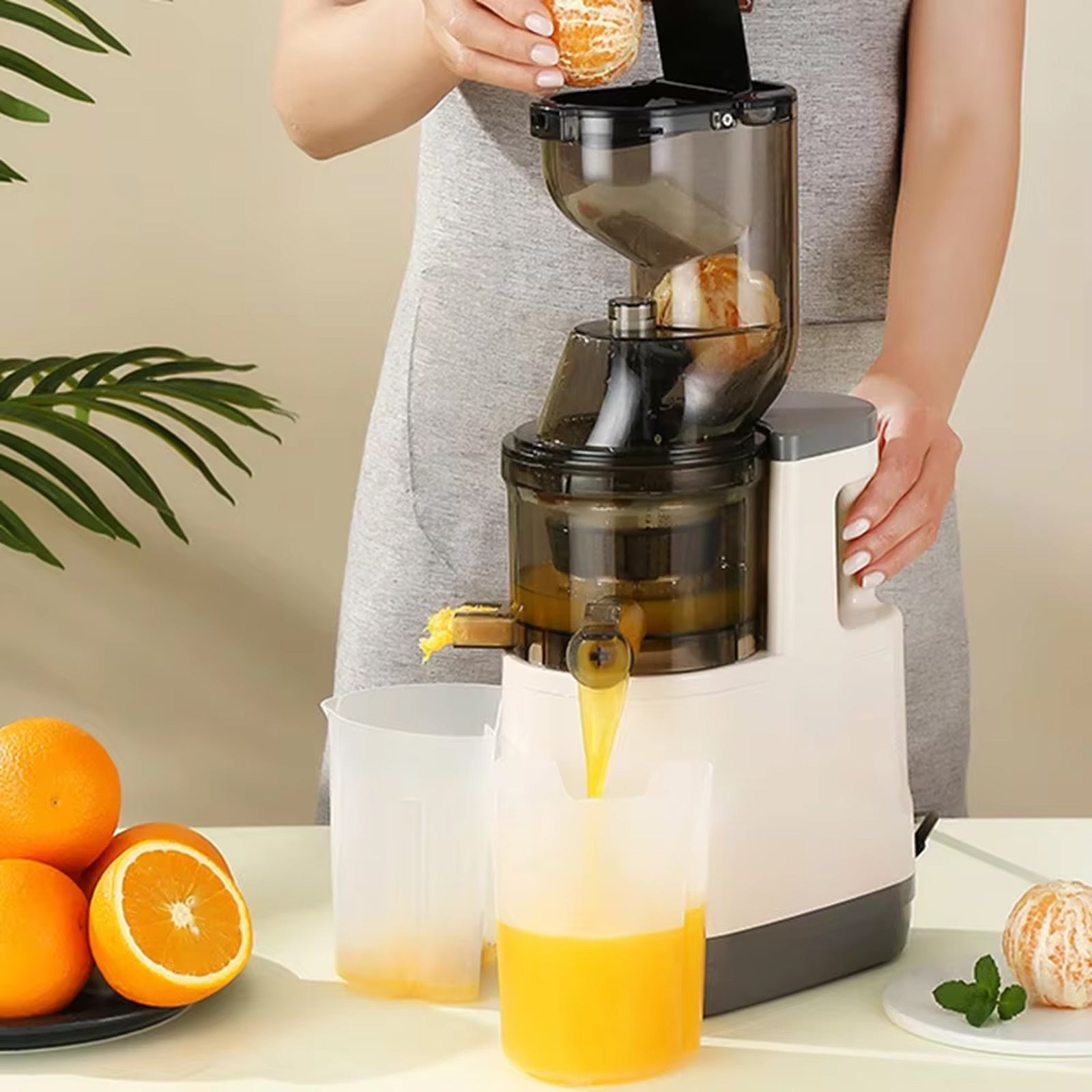 JuiCiento Slow Juicer