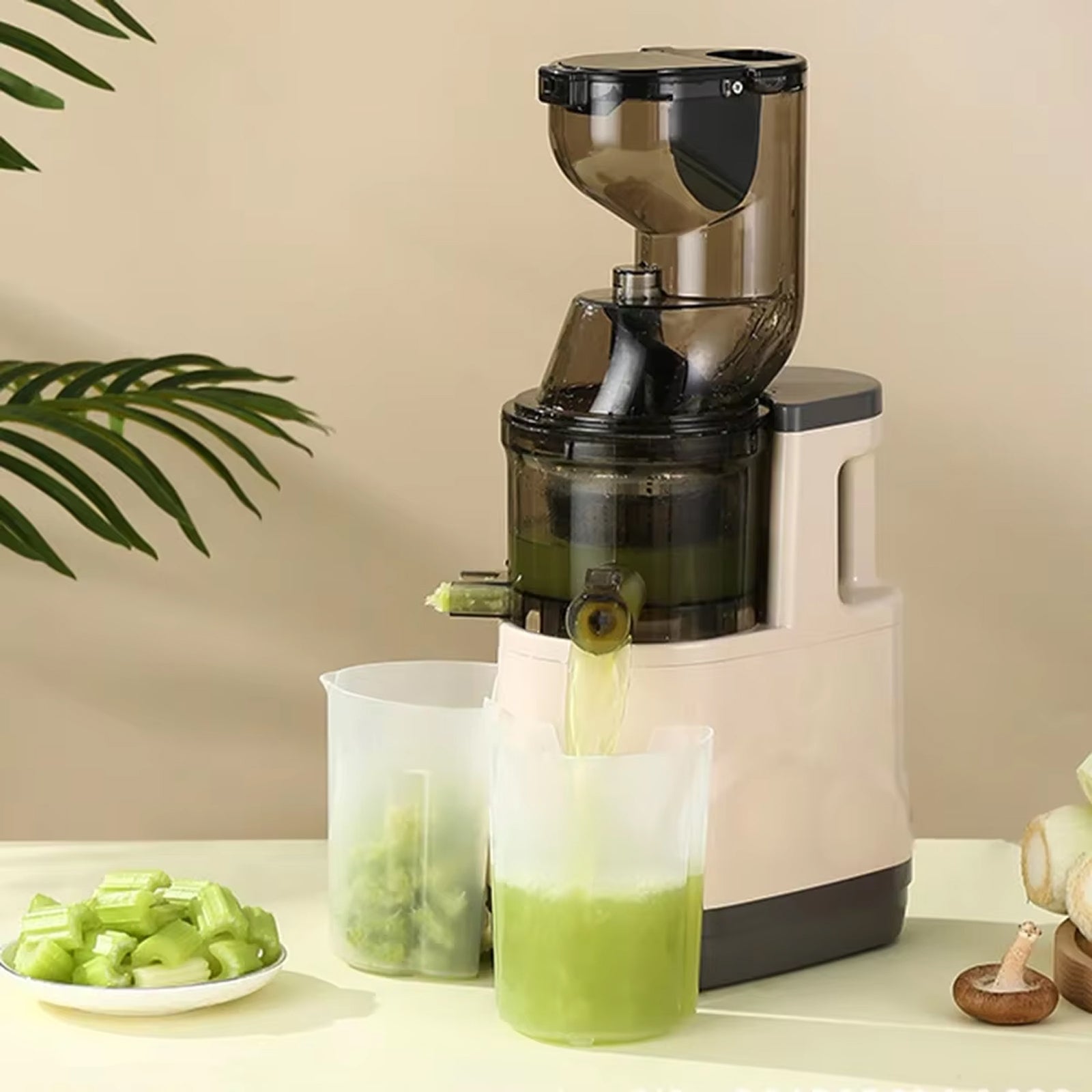 JuiCiento Slow Juicer