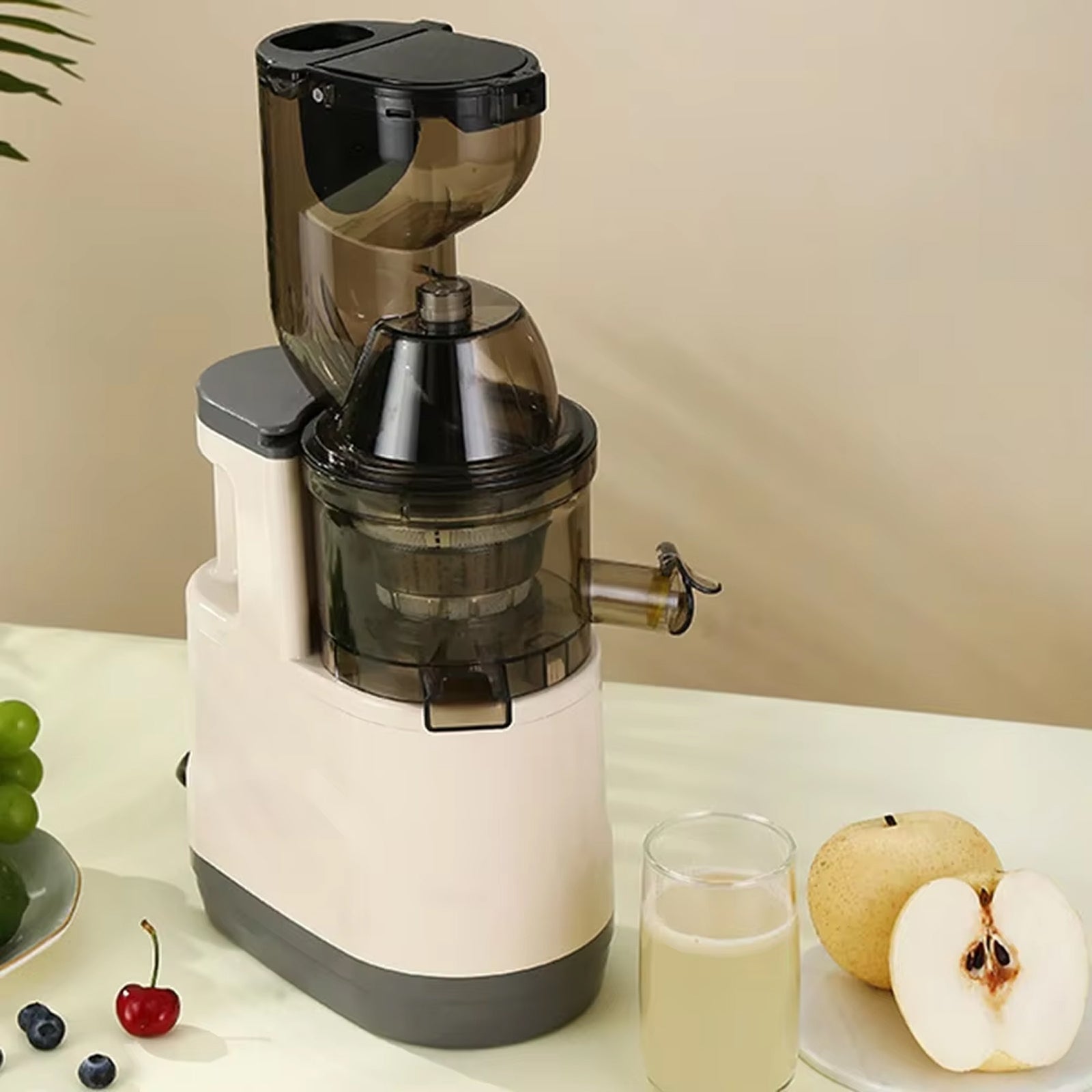 JuiCiento Slow Juicer