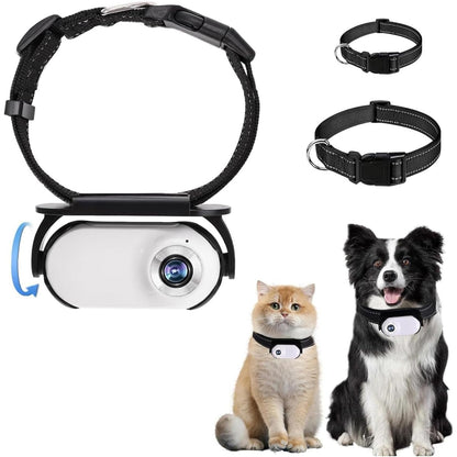 NekoXper