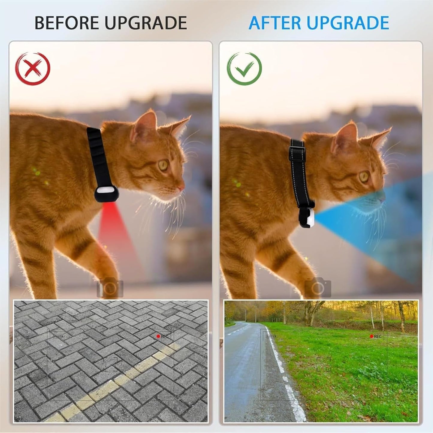 NekoXper