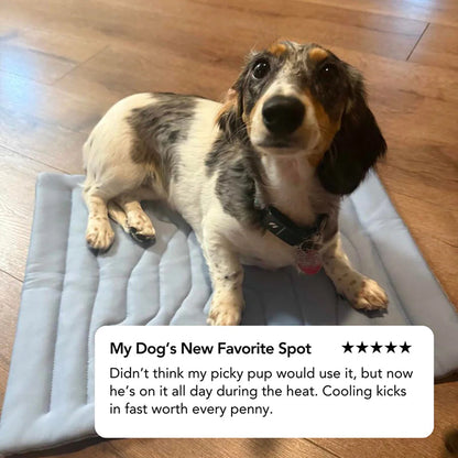 PawFroste Dog Cooling Mat