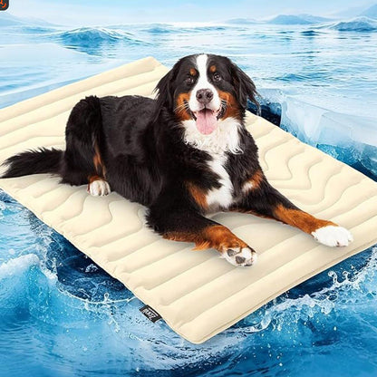 PawFroste