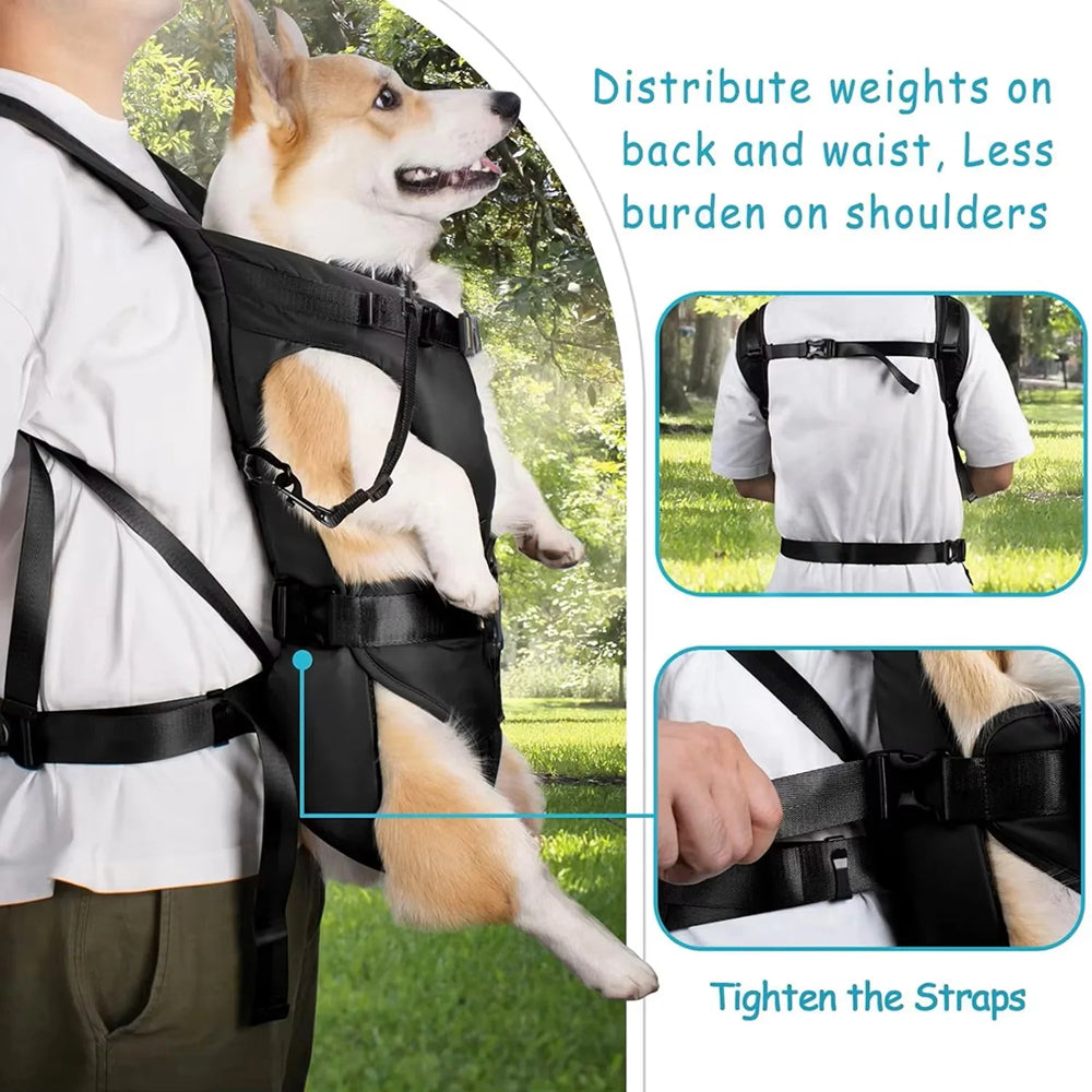 Ergonomic Hands-Free PawPackaf Dog Carrier Backpack for Travel & Hiking