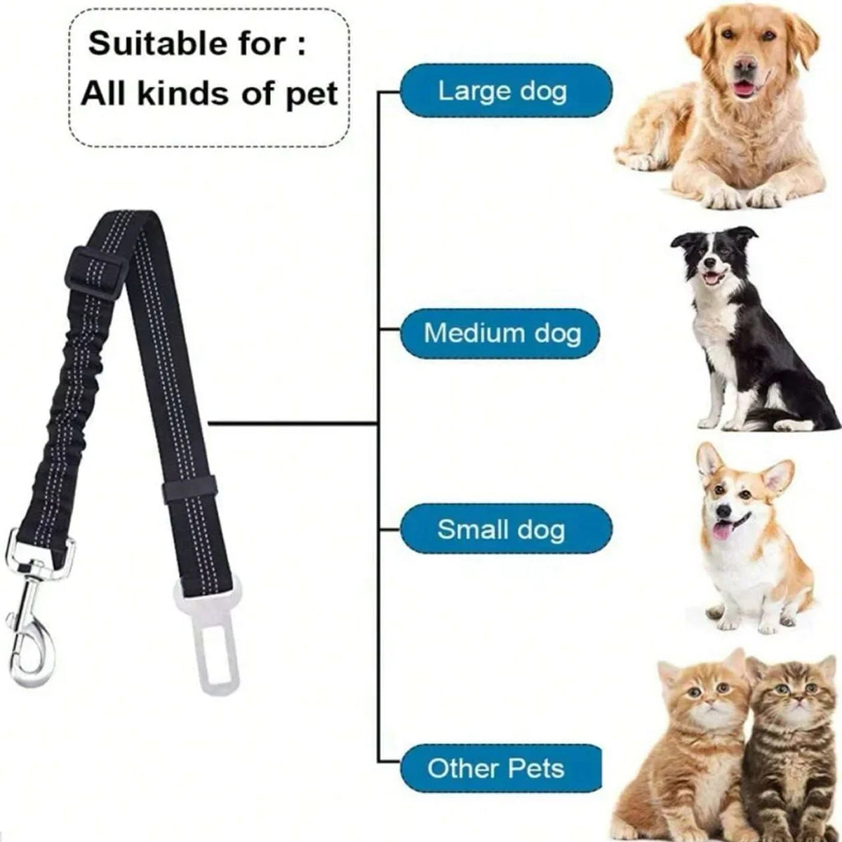 PawaBelty