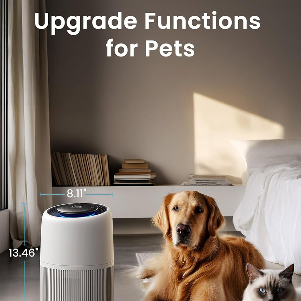 PetVetox