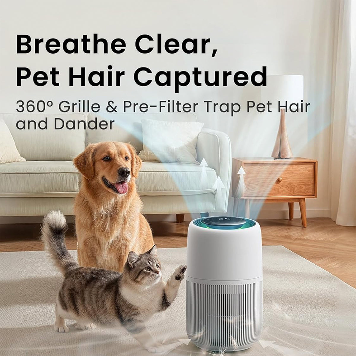 PetVetox