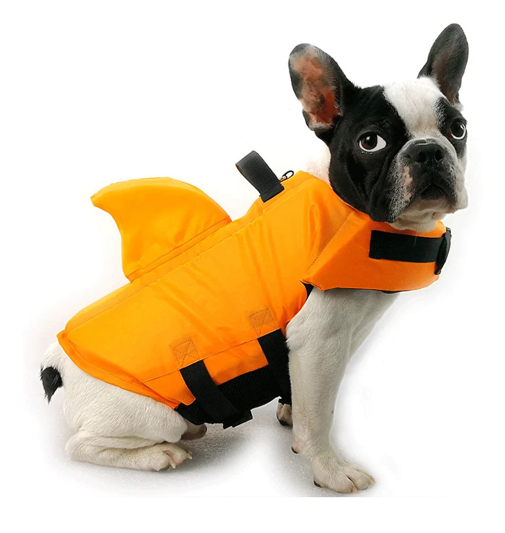 PupVesba