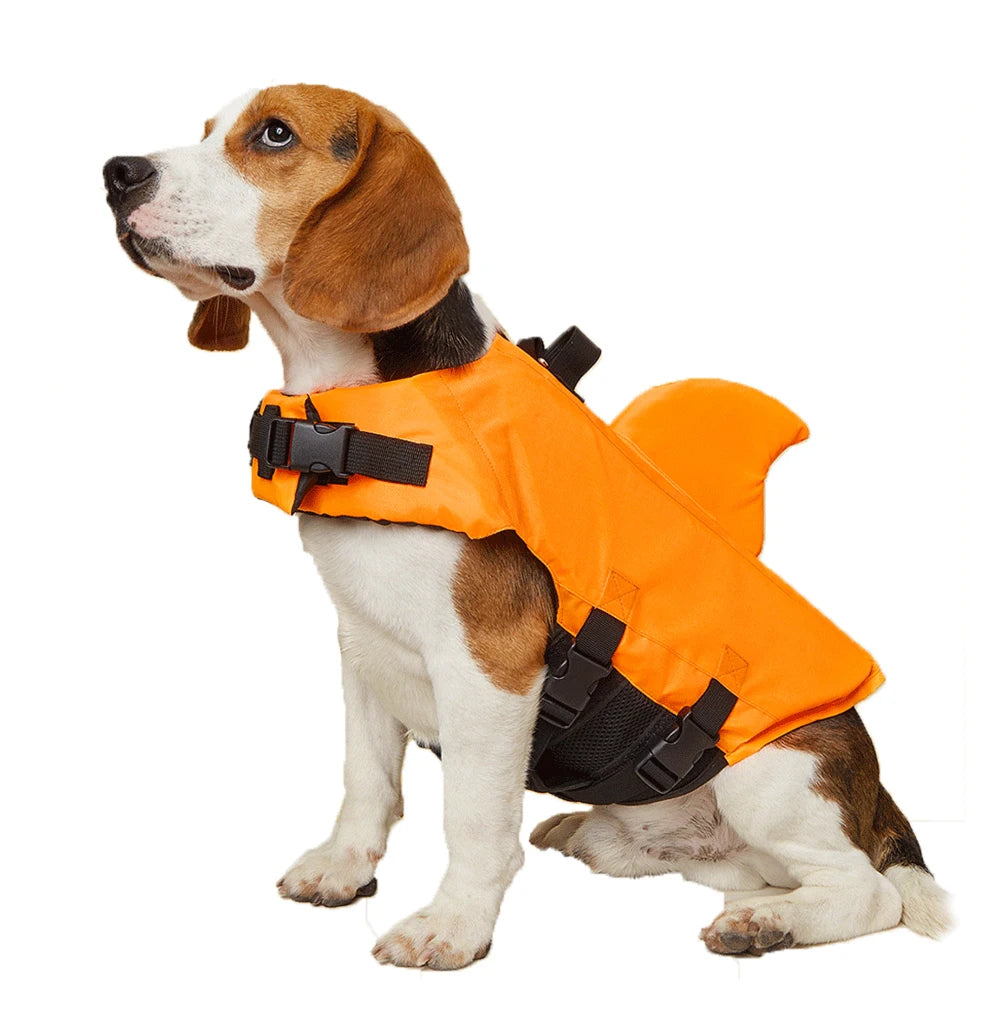 PupVesba