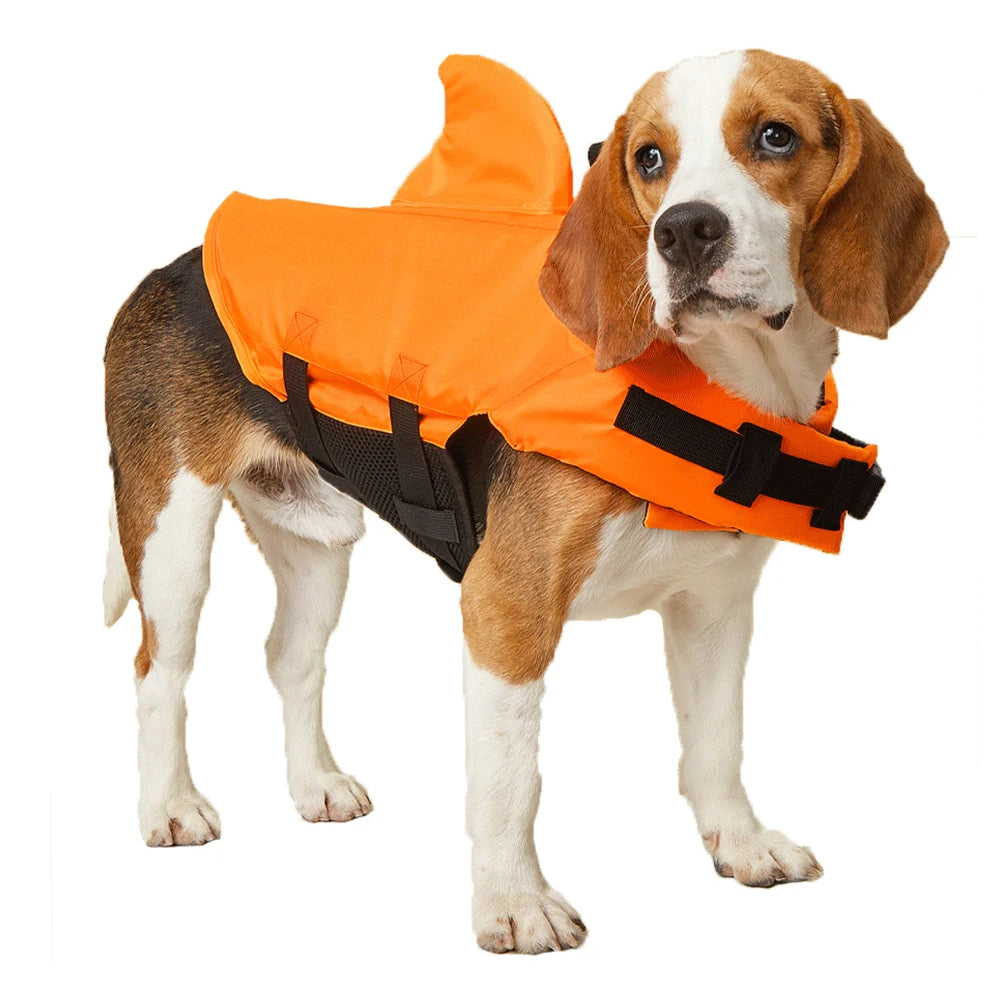 PupVesba