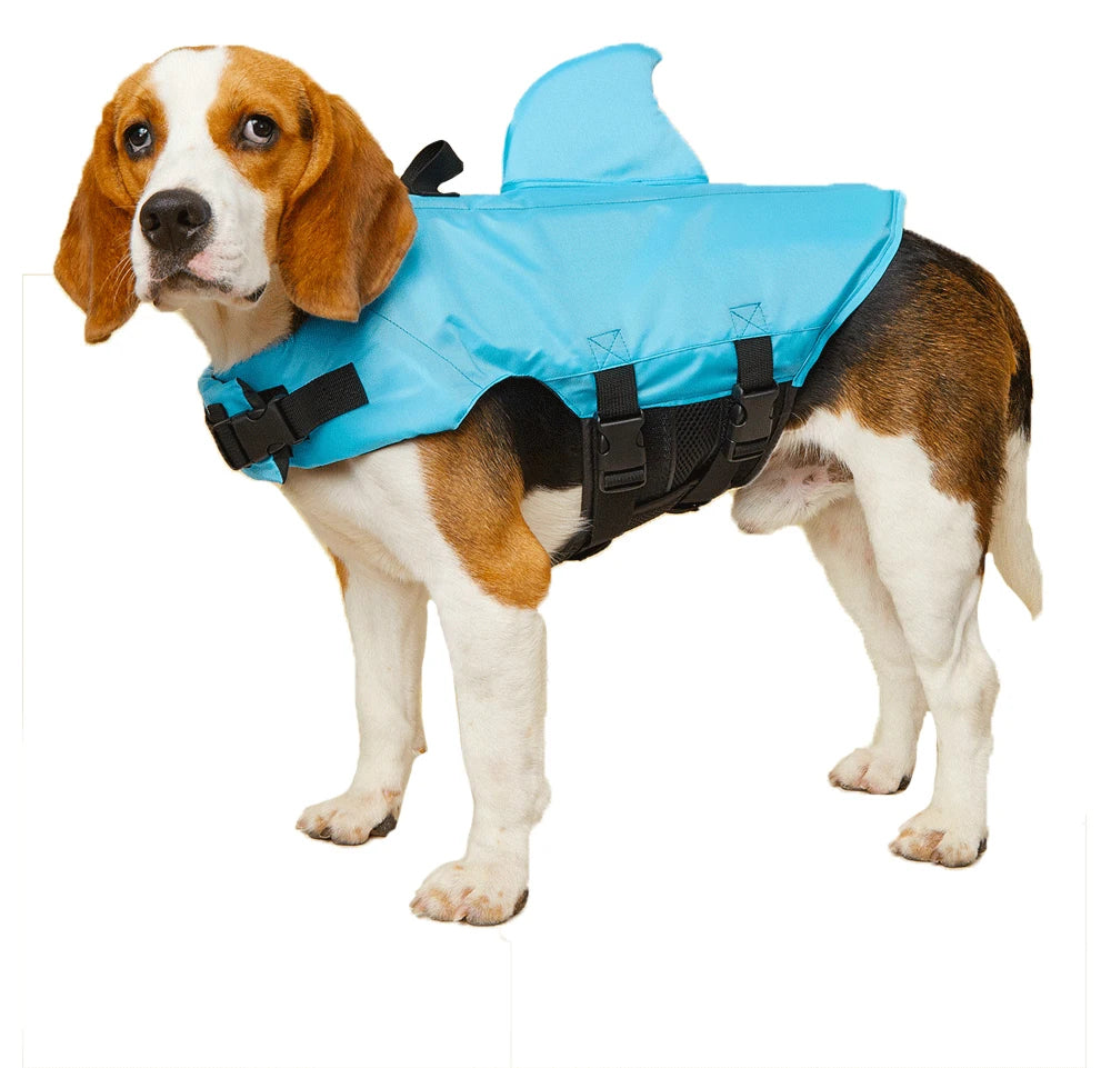 PupVesba