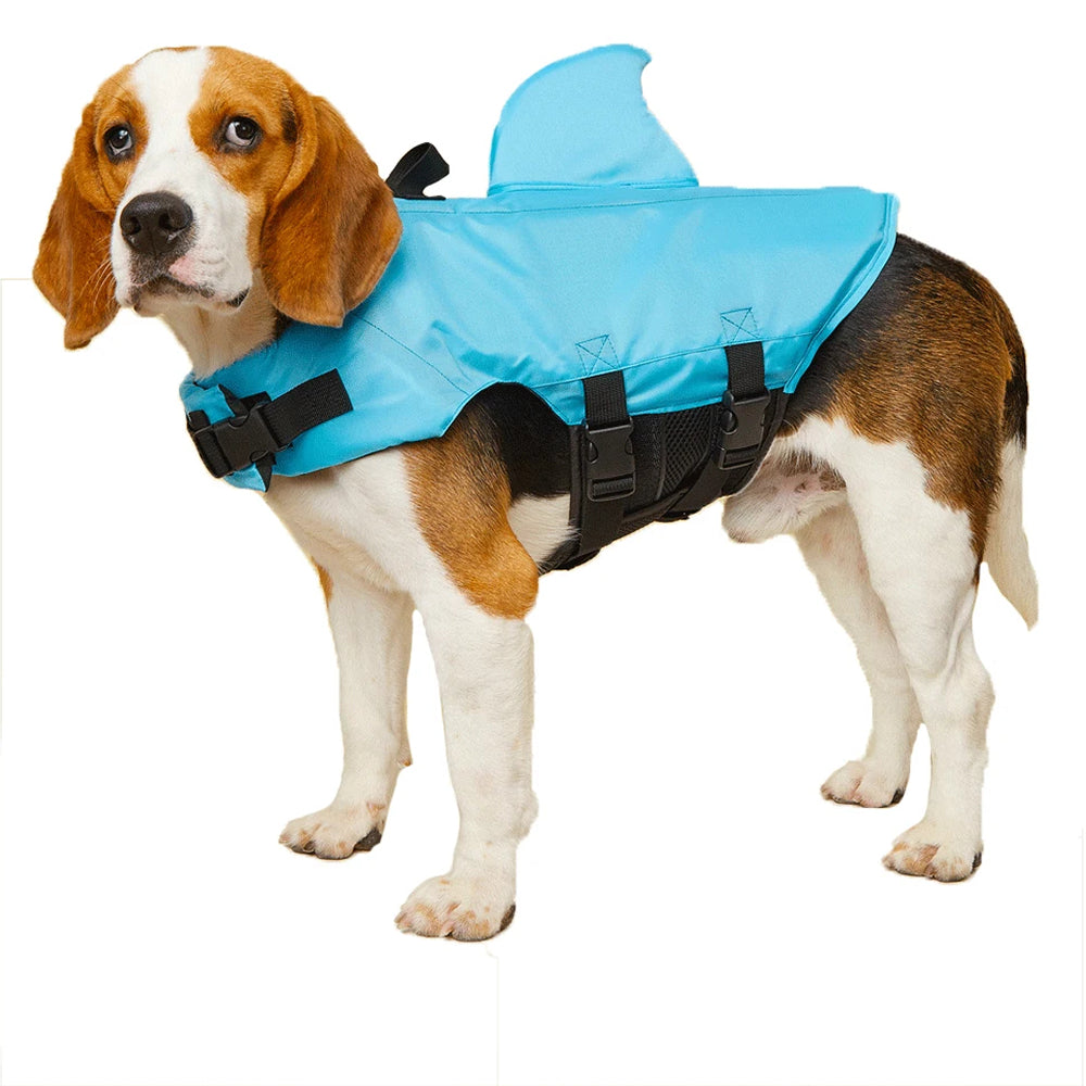 PupVesba