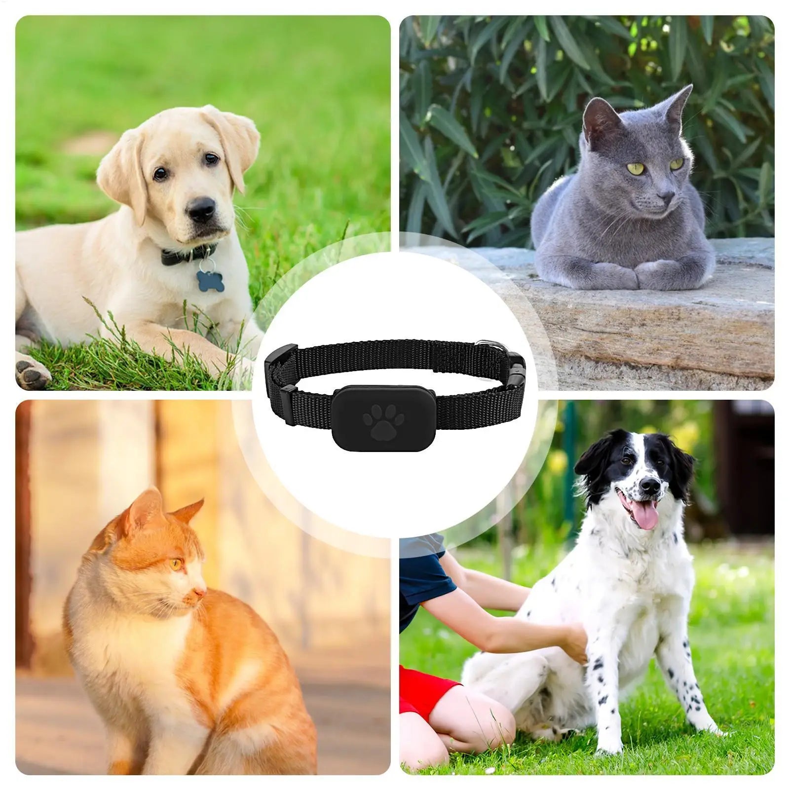 Pupramix Global Dog GPS Tracker with Apple Find My Network Integration