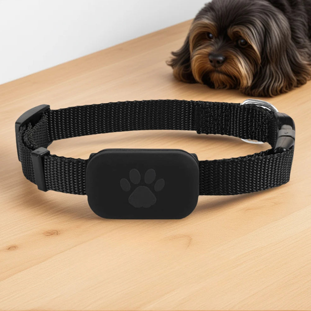Pupramix Global Dog GPS Tracker with Apple Find My Network Integration