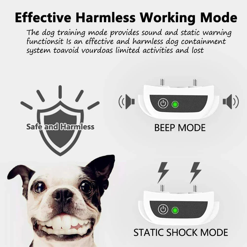 SafePawa