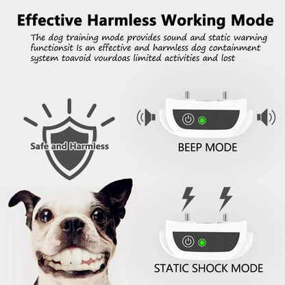 SafePawa