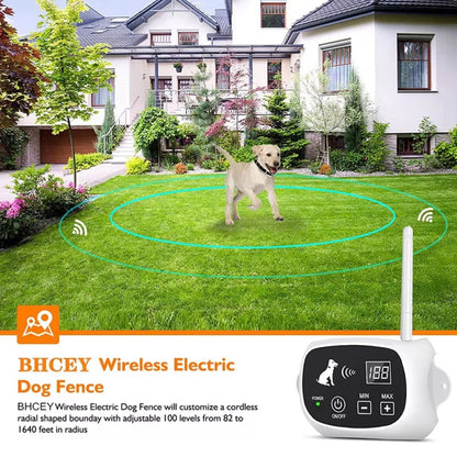 SafePawa
