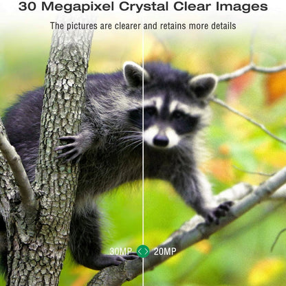 ScoutPox