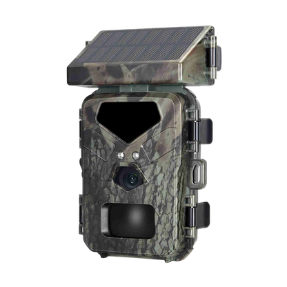 SolCamark