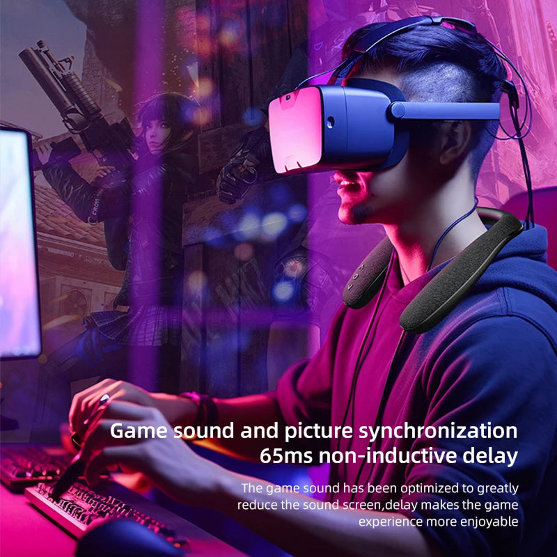 VoxLoopy